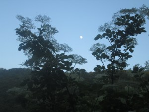 Poza_Farmecul iubirii